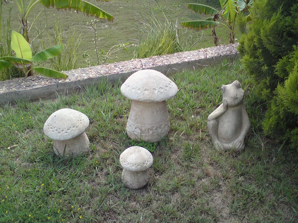 Mushroom garden