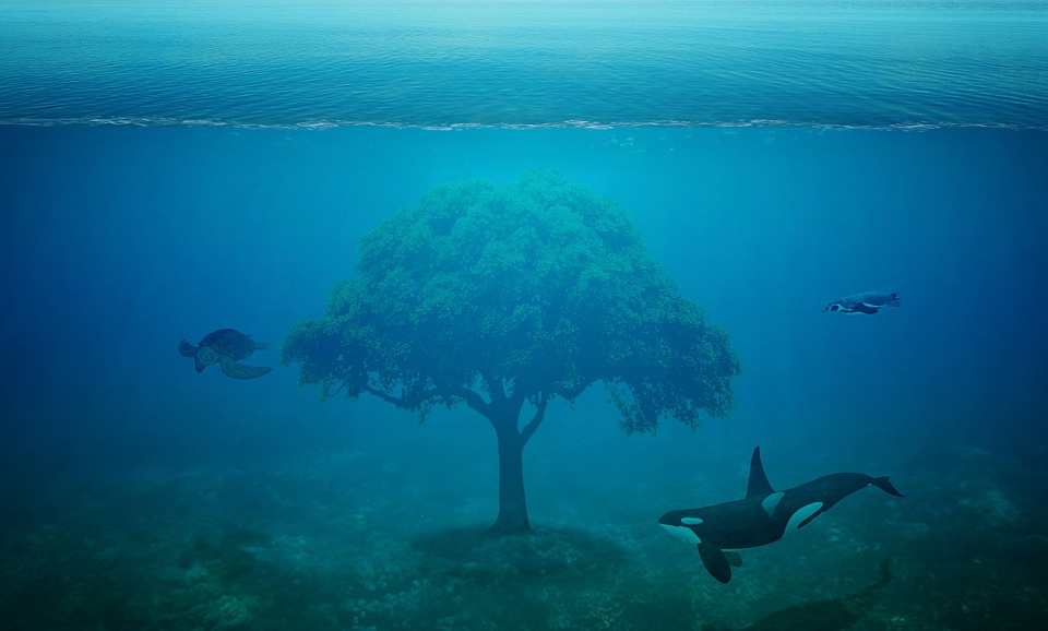 tree under the ocean